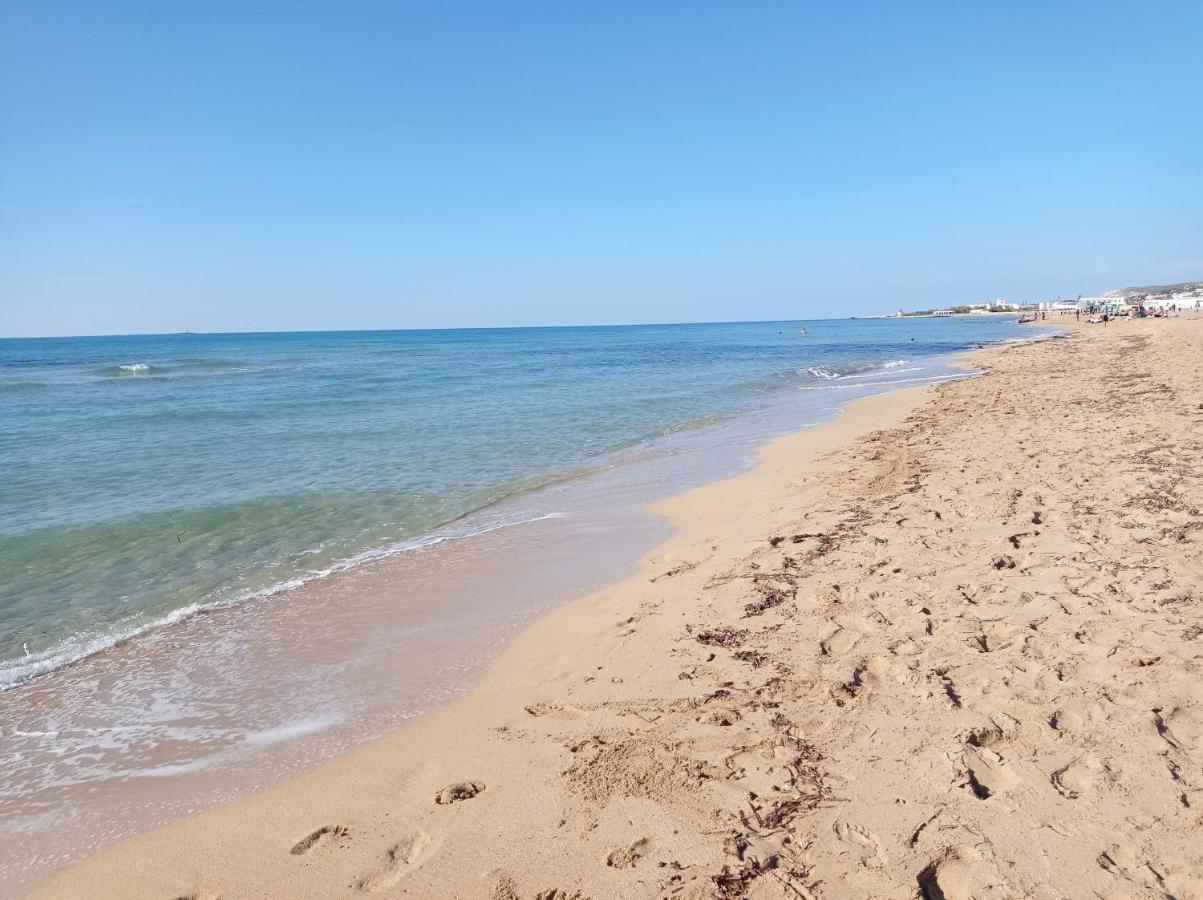 דירות טרפאני Vento Di Grecale מראה חיצוני תמונה